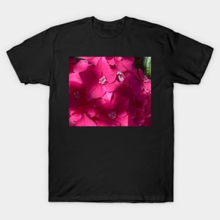 Perfect Pink Hydrangea in the Shadows. T-Shirt